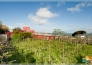 ALBERGO LA VIGNA (6)