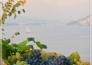 ALBERGO LA VIGNA (8)