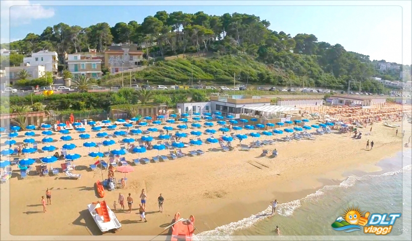 HOTEL PINETA (18)