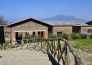VESUVIO E STABIA 9