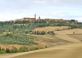 6 TOUR DELLA TOSCANA   SIENA   PIENZA