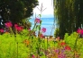 TOUR GERMANIA, SVIZZERA E FORESTA NERA  6