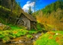 TOUR GERMANIA, SVIZZERA E FORESTA NERA  18