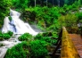 TOUR GERMANIA, SVIZZERA E FORESTA NERA  20