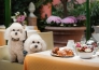 8 HOTEL PALAZZO DAL BORGO