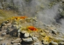 SOLFATARA DI POZZUOLI E NAPOLI 5