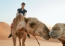 TESORI OMAN 11