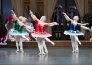 Ensemble Dornroeschen © Ian Whalen Dresden Semperoper