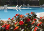 hotel terme bristol buja   abano terme 05