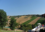 fattoria cerreto   mosciano 01
