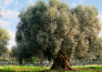 puglia borghi 03