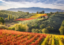 assisi montefalco bevagna 04