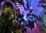 viterbo e citta natale 03