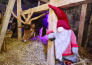viterbo e citta natale 05