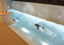 giotto hotel e spa   assisi 05
