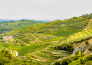 LAGO DI GARDA E VALPOLICELLA   19