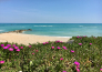 pesaro e riviera del conero 10