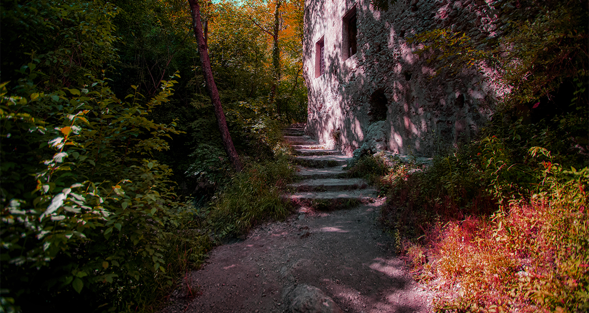 foliage in italia bosco valle delle ferriere