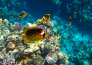 7 CAIRO   SHARM EL SHEIKH
