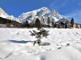 3 HOTEL BOITE   BORCA DI CADORE