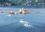 Dubrovnik e Montenegro  03