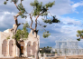 1 TOUR TRANI BARLETTA E MANFREDONIA