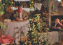 12 VITORCHIANO E PRESEPE VIVENTE A CIVITA DI BAGNOREGIO