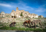 10 TOUR MATERA   CRACO E METAPONTO