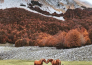 19 RURA HOTEL   MORMANNO