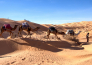 18 TOUR TUNISIA CLASSICA