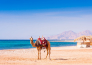 7_Sharm El Sheikh Roulette