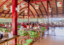 15 Ivy Cyrene Sharm e Island Resort   Th Baobab   SHARM