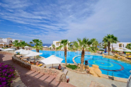 1 Amphoras Blu   Th Baobab   SHARM