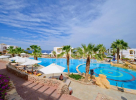 1 Amphoras Blu   Th Baobab   SHARM