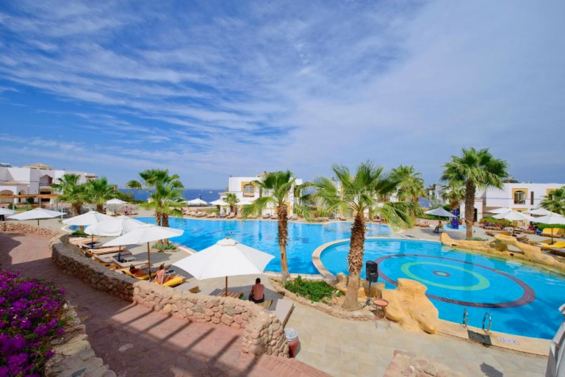 1 Amphoras Blu   Th Baobab   SHARM