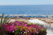 1 Amphoras Aqua   Th baobab    SHARM