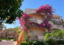 12 Dream Lagoon Resort & Aqua Resort   MARSA ALAM