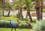7 concorde moreen beach resort   MARSA ALAM