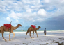12 Neptune Village Beach Resort & Spa   KENYA