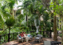 9 the reef playacar beach resort   MESSICO