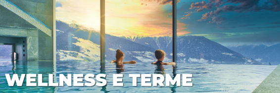 wellness_banner