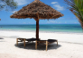 3 Jaz adonia   ZANZIBAR