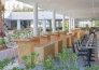 3 Hotel HM Martinique   MAIORCA