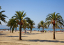 15 Whala Beach Hotel e Appartamenti   MAIORCA