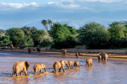 kenya 01