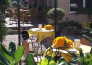 11 HOTEL DES BAINS   CATTOLICA