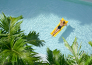 9 ROULETTE ISCHIA   ZIGOLO