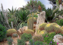 25 GIARDINI E BORGHI LIGURIA