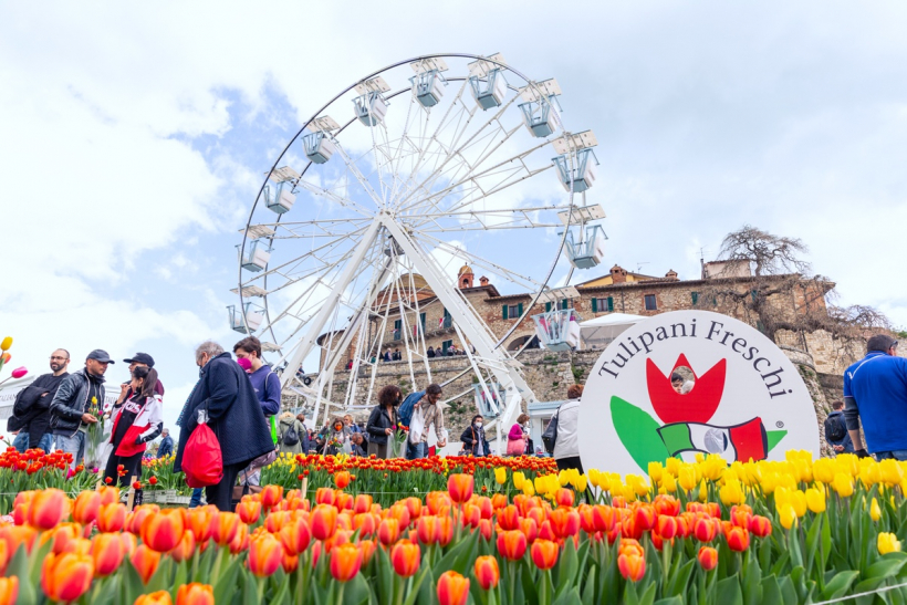1 FESTA DEL TULIPANO DI CASTIGLIONE DEL LAGO