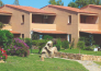 17 Residence Porto Coda Cavallo   San Teodoro 
